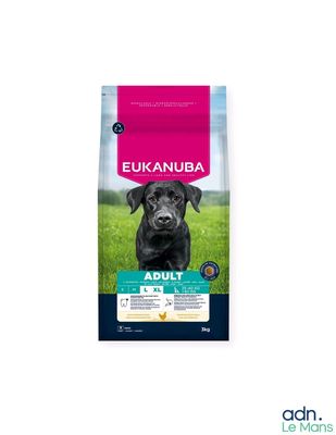 Alimentation Eukanuba pour chiens adultes de grande race