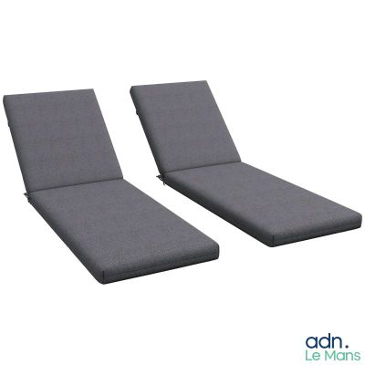 une paire de chaises longues grises avec coussins, sur fond blanc