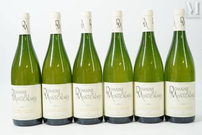 six bouteilles de vin sont alignées sur une surface blanche