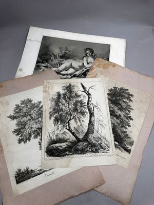 quatre gravures anciennes représentant des nus et des arbres, posées sur une table
