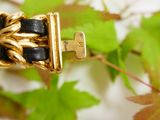 a close up of a gold and black bracelet on a plant