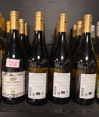 Des bouteilles de vin sont alignées sur une étagère dans une cave à vin