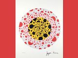 a red and yellow dot print with black dots on a white background