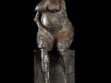 Photo 2/8 du lot