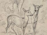 an old drawing of two deer standing next to each other in the woods