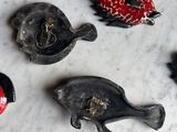 many different types of fish on the table