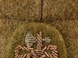 an image of a close up of a badge with a bee on it