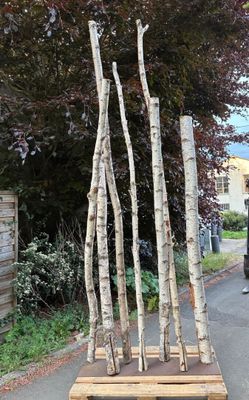 1 Décor ou sculpture naturelle contemporaine à base de tronc…
