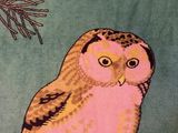 painting of an owl perched on a branch with a pine tree in the background