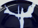 a black and white plate with a blue design on it