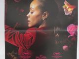 une affiche du film « Emmila Perez »