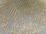 a plate with a gold decoration on it on a table