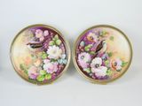 paire d'assiettes vintage en porcelaine peintes à la main, ornées d'oiseaux et de fleurs