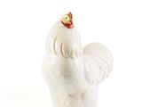 a white chicken that is standing on a white surface