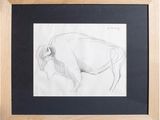 a drawing of a bison in a frame on a white background