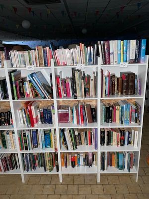 de nombreux livres qui se trouvent sur les étagères de la pièce