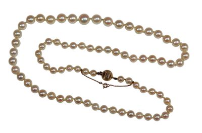 une photo d'un collier de perles blanches muni d'un fermoir en or