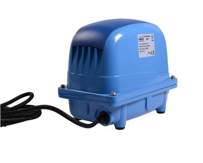 Aquaforte Ap-100 Pompe à Air, 65 Watt, max.