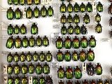 many different types of beetles on display in a display case