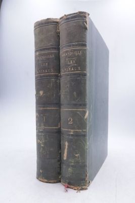 deux vieux livres posés l'un sur l'autre sur une surface blanche