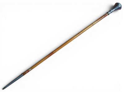 a close up of a cane with a wooden handle on a white surface