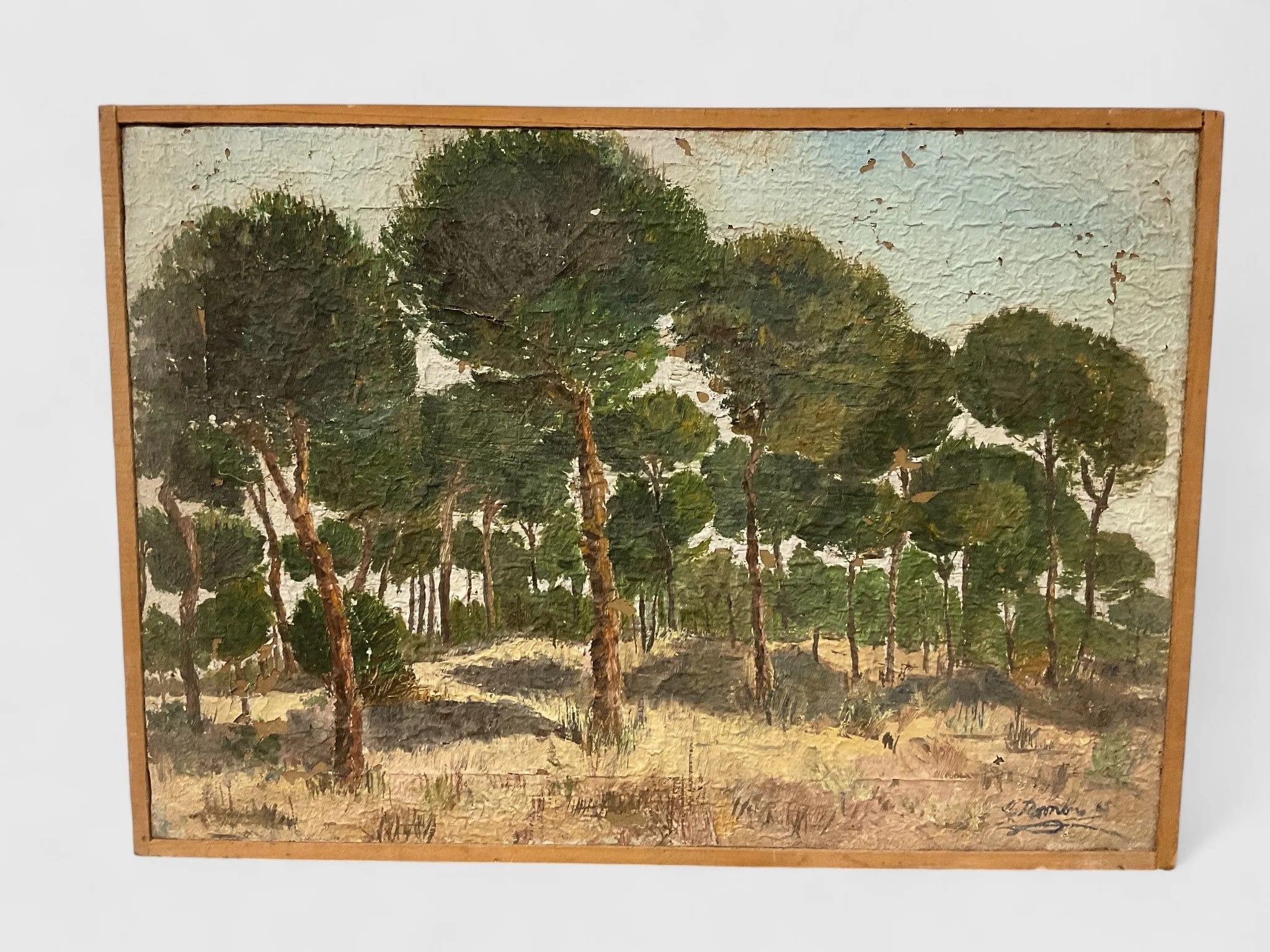 Objets d'art & Curiosités