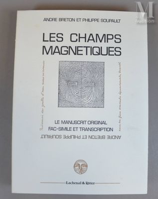 la couverture du livre *Les Champs Magnifiques*, avec la photo du visage d'un homme