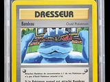 the card is in a clear plastic holder with a yellow border