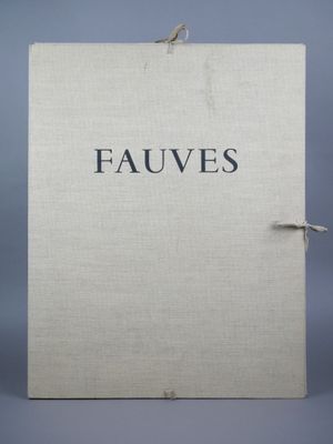un livre blanc sur lequel est inscrit le mot « fauves »