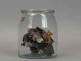 a glass jar with a bunch of dried mushrooms in it