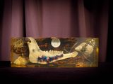 an image of a fake animal skull in a box