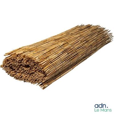 a close up of a bunch of straw sticks on a white background