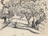dessin représentant une route bordée d'arbres dans une zone boisée