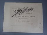 un dessin représentant une plante avec des feuilles