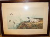 une image représentant un chien dans un champ d'herbe