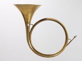 a brass instrument that is sitting on top of a table