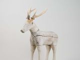 a white deer with antlers standing on a white surface