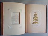 an open book with a picture of a plant on it