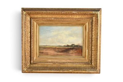un tableau représentant un paysage, dans un cadre doré, accroché à un mur blanc