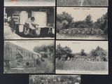une vieille photo en noir et blanc représentant un ensemble de portraits