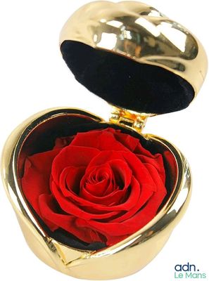 une boîte en forme de cœur dorée contenant une rose rouge