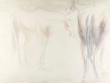 a drawing of a horse and a man standing next to each other