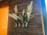 three vases that have plants in them on the wall