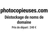 Photo 1/1 du lot