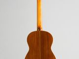 a close up of an acoustic guitar on a white background