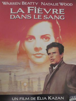 affiche du film « La fièvre dans le sang »