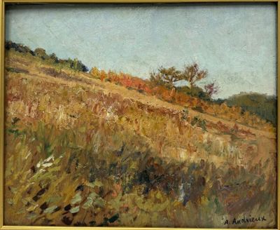 ANDRIEUX Alfred Louis (1879- 1945) - Photo 1