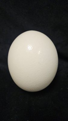 an image of a white ball on a black background