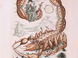 une image représentant un dessin d'un scorpion sur lequel est assise une femme