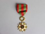 une image représentant une médaille d'or entourée d'un ruban rouge et vert